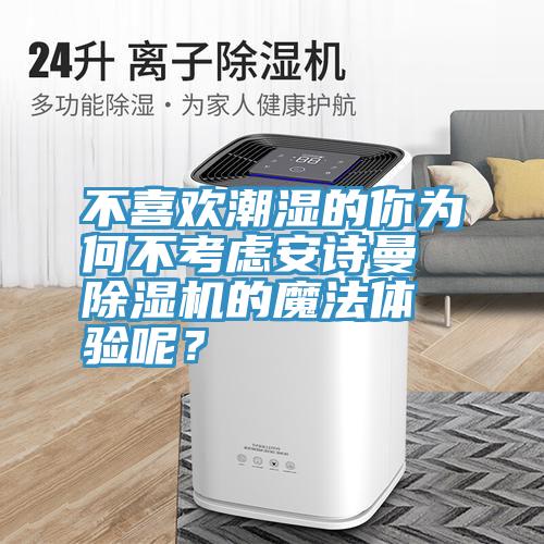 不喜歡潮濕的你為何不考慮安詩曼除濕機的魔法體驗呢？
