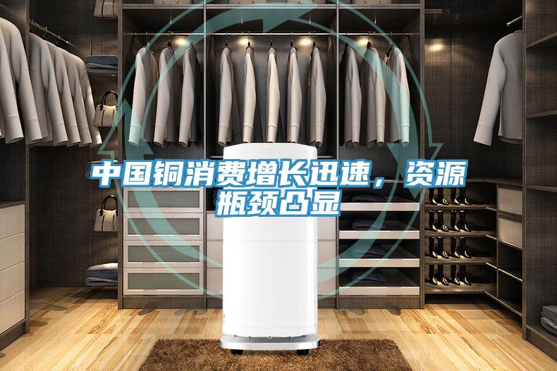 中國銅消費(fèi)增長迅速，資源瓶頸凸顯