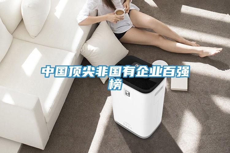 中國頂尖非國有企業百強榜