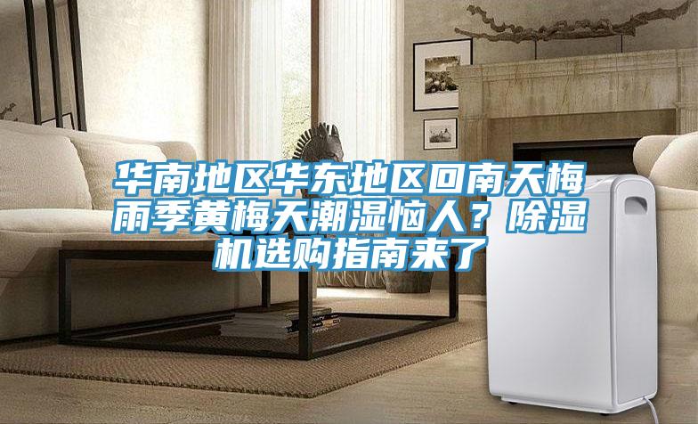 華南地區華東地區回南天梅雨季黃梅天潮濕惱人？除濕機選購指南來了