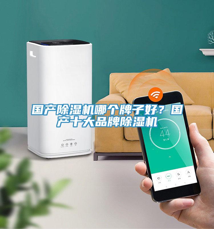 國產除濕機哪個牌子好？國產十大品牌除濕機