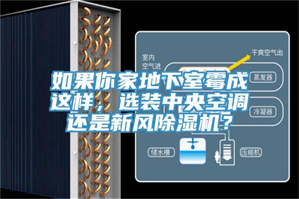 如果你家地下室霉成這樣，選裝中央空調還是新風除濕機？