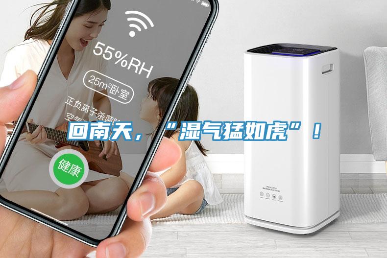 回南天，“濕氣猛如虎”！