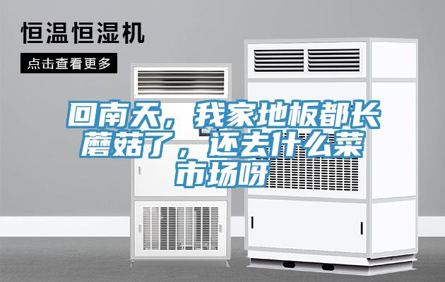 回南天，我家地板都長蘑菇了，還去什么菜市場呀