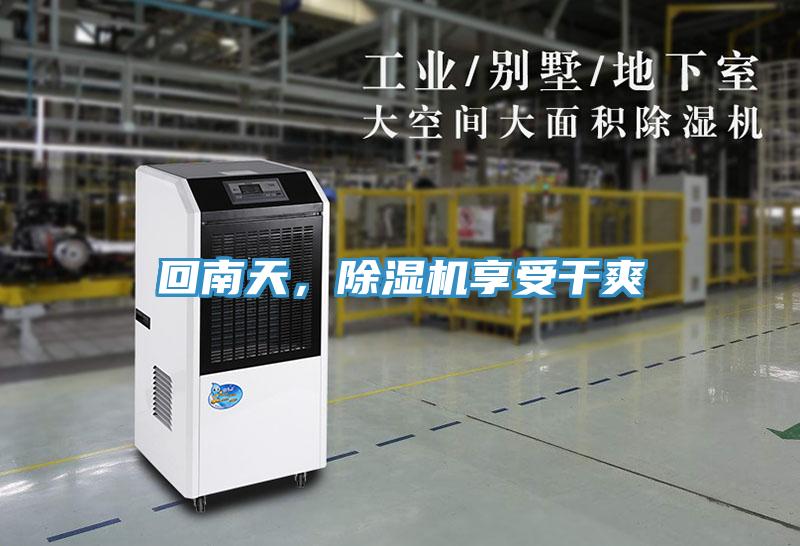 回南天，除濕機享受干爽