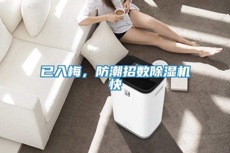 已入梅，防潮招數除濕機快
