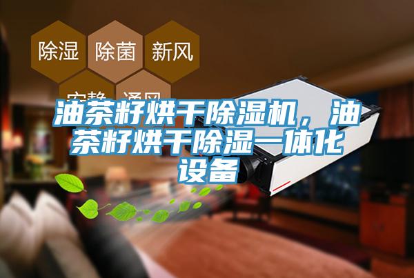 油茶籽烘干除濕機(jī)，油茶籽烘干除濕一體化設(shè)備
