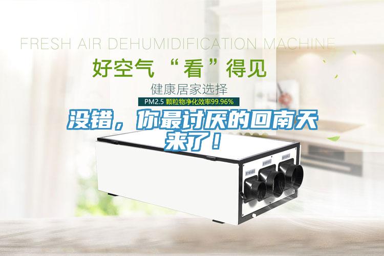 沒錯，你最討厭的回南天來了！