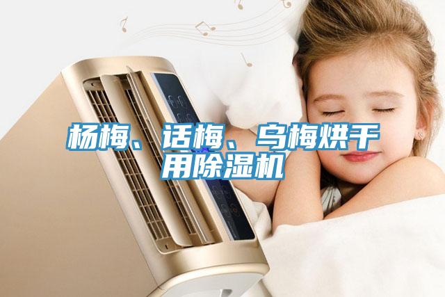 楊梅、話梅、烏梅烘干用除濕機(jī)