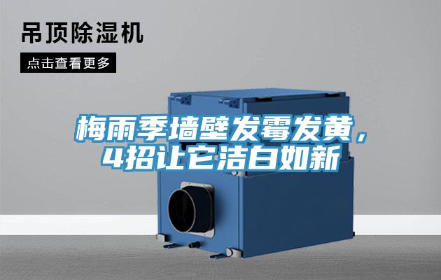 梅雨季墻壁發霉發黃，4招讓它潔白如新