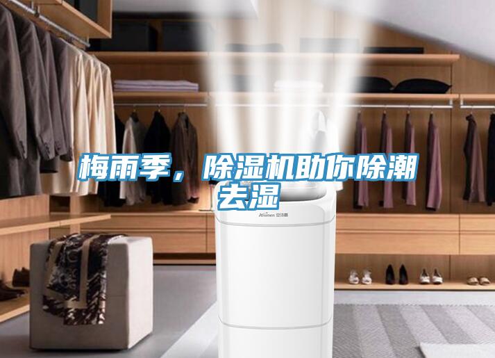 梅雨季，除濕機助你除潮去濕