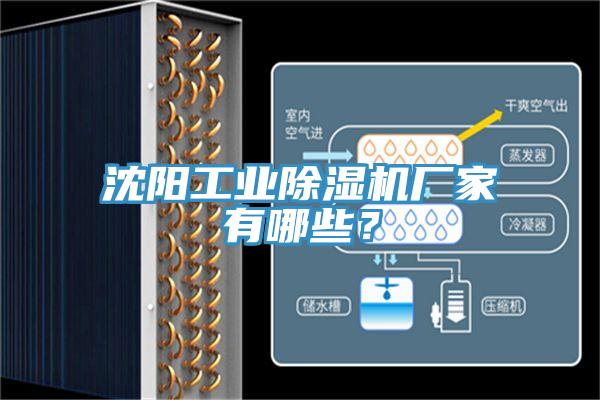 沈陽工業(yè)除濕機(jī)廠家有哪些？