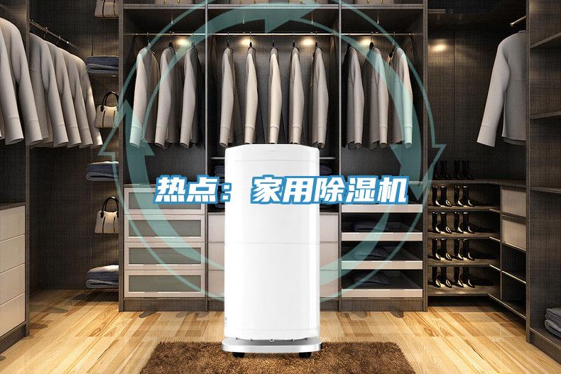 熱點(diǎn):家用除濕機(jī)