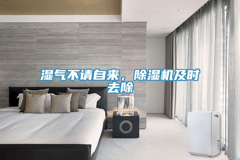 濕氣不請自來,除濕機及時去除