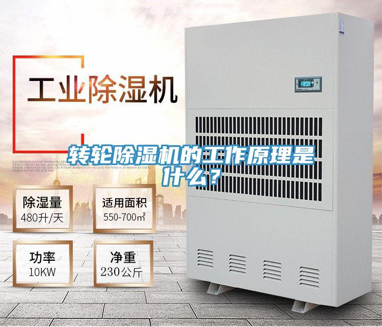 轉輪除濕機的工作原理是什么?