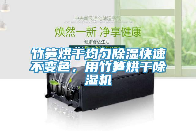 竹筍烘干均勻除濕快速不變色,用竹筍烘干除濕機