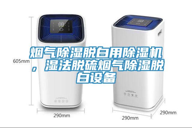 煙氣除濕脫白用除濕機(jī),濕法脫硫煙氣除濕脫白設(shè)備