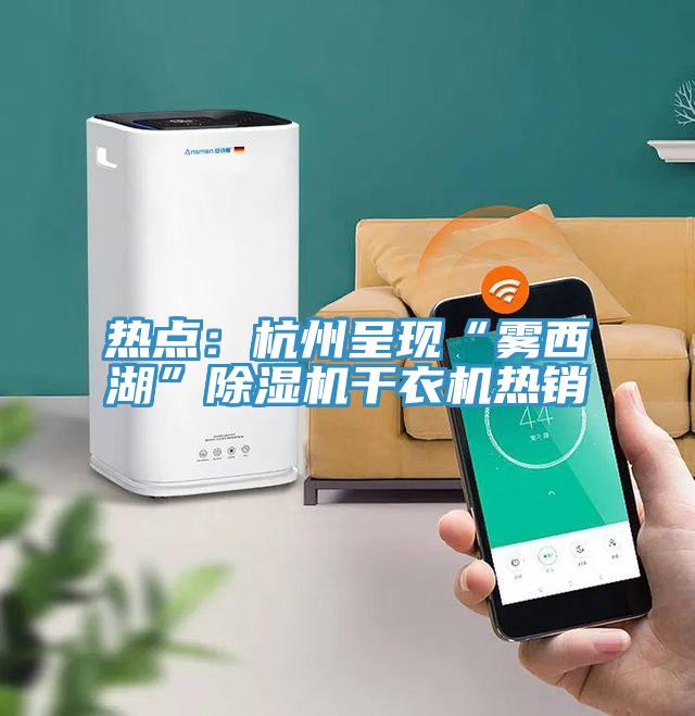熱點(diǎn):杭州呈現(xiàn)“霧西湖”除濕機(jī)干衣機(jī)熱銷