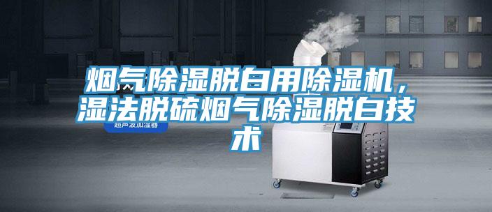煙氣除濕脫白用除濕機(jī),濕法脫硫煙氣除濕脫白技術(shù)