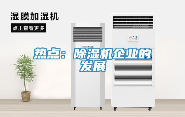 熱點(diǎn):除濕機(jī)企業(yè)的發(fā)展