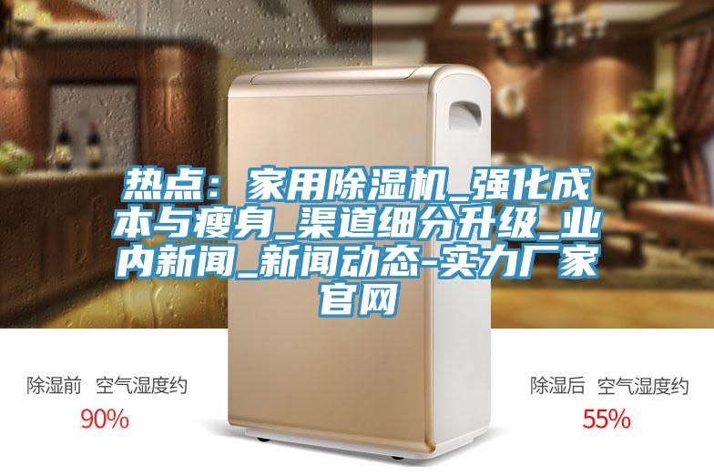 熱點(diǎn):家用除濕機(jī)_強(qiáng)化成本與瘦身_渠道細(xì)分升級(jí)_業(yè)內(nèi)新聞_新聞動(dòng)態(tài)-實(shí)力廠家官網(wǎng)