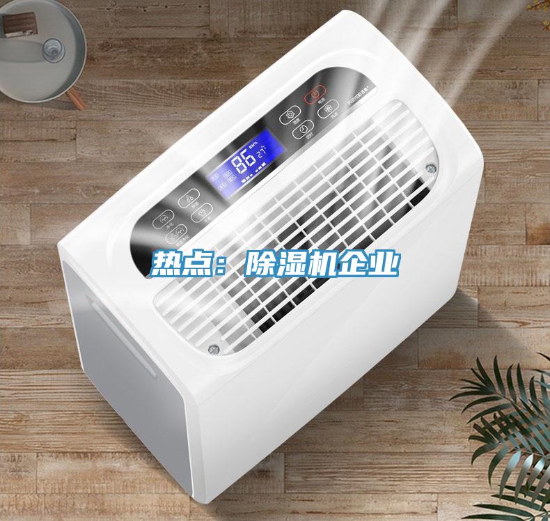 熱點(diǎn):除濕機(jī)企業(yè)
