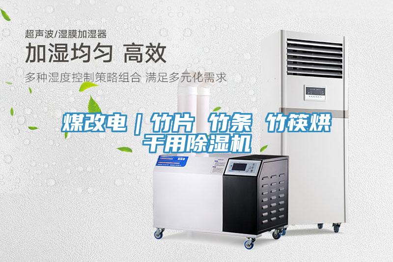 煤改電|竹片 竹條 竹筷烘干用除濕機