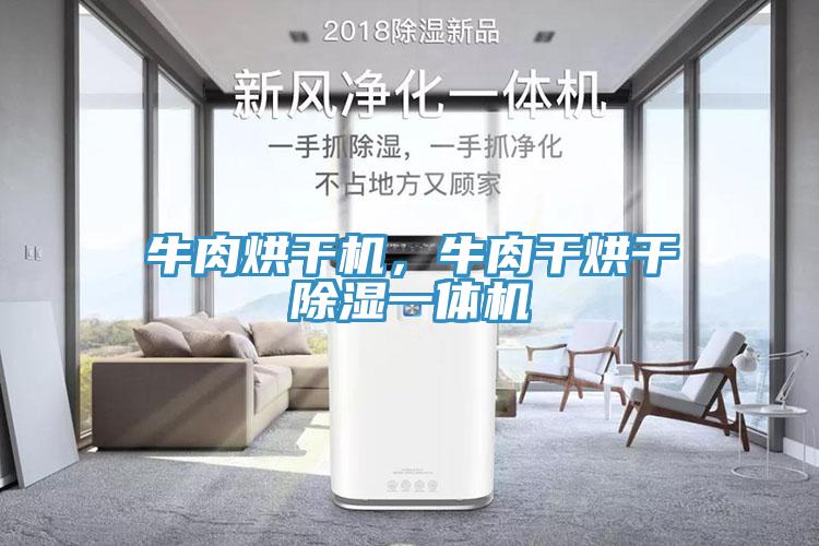 牛肉烘干機,牛肉干烘干除濕一體機