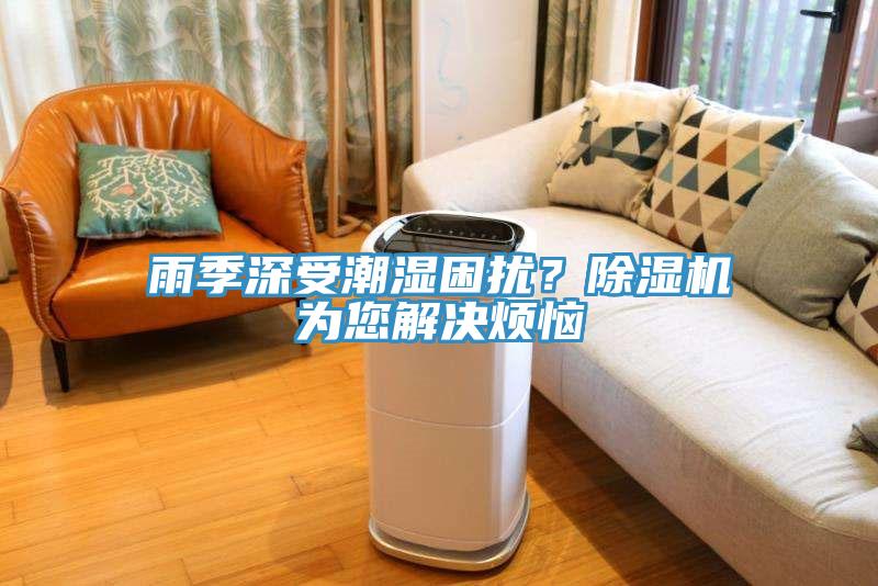 雨季深受潮濕困擾?除濕機為您解決煩惱