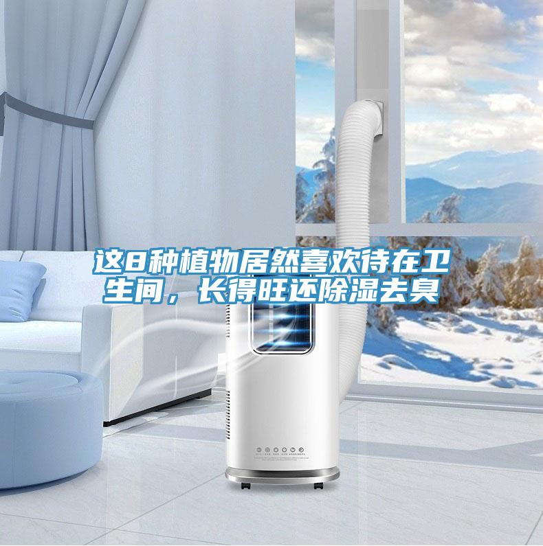 這8種植物居然喜歡待在衛生間,長得旺還除濕去臭