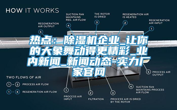 熱點(diǎn):除濕機(jī)企業(yè)_讓你的大象舞動(dòng)得更精彩_業(yè)內(nèi)新聞_新聞動(dòng)態(tài)-實(shí)力廠家官網(wǎng)