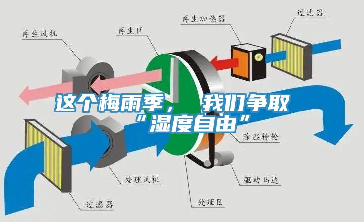 這個梅雨季, 我們爭取“濕度自由”
