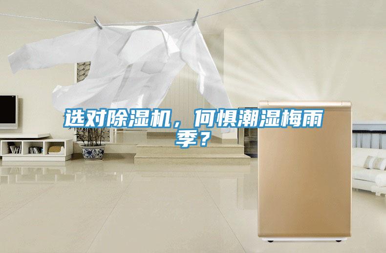 選對除濕機,何懼潮濕梅雨季?
