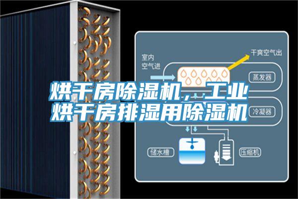 烘干房除濕機(jī),工業(yè)烘干房排濕用除濕機(jī)