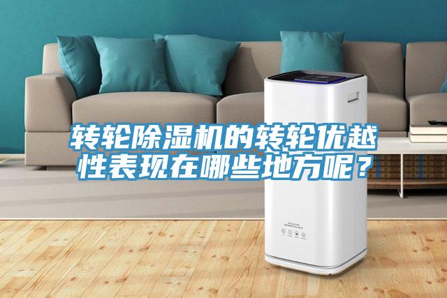 轉輪除濕機的轉輪優越性表現在哪些地方呢?