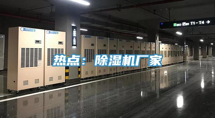 熱點(diǎn):除濕機(jī)廠家