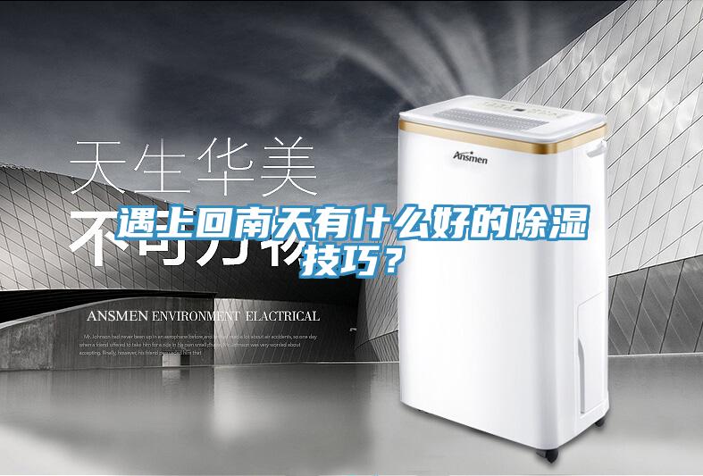 遇上回南天有什么好的除濕技巧?
