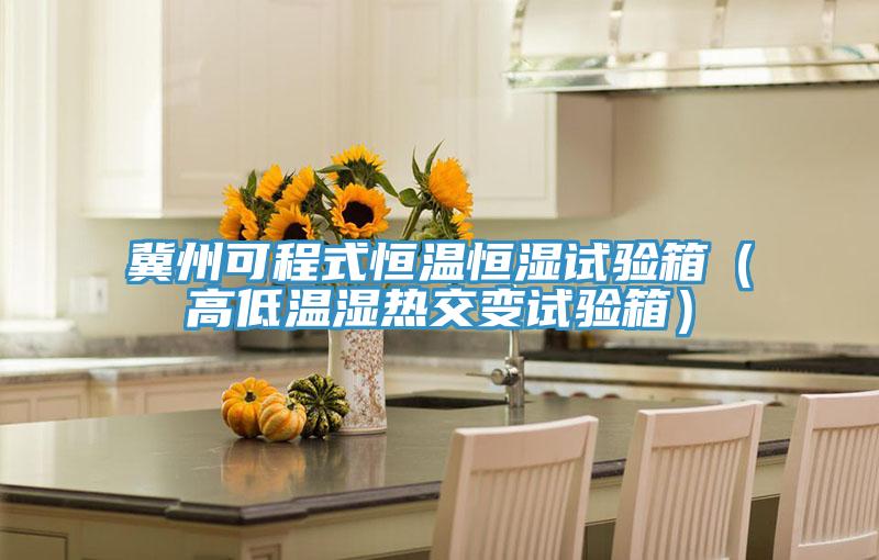 冀州可程式恒溫恒濕試驗箱(高低溫濕熱交變試驗箱)