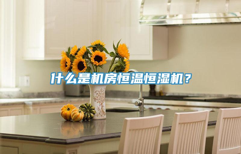 什么是機房恒溫恒濕機？