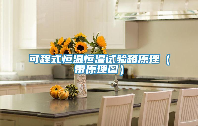 可程式恒溫恒濕試驗箱原理(帶原理圖)