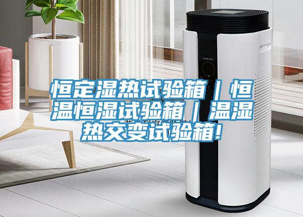 恒定濕熱試驗箱|恒溫恒濕試驗箱|溫濕熱交變試驗箱!