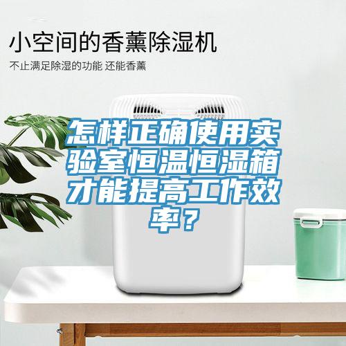 怎樣正確使用實驗室恒溫恒濕箱才能提高工作效率？