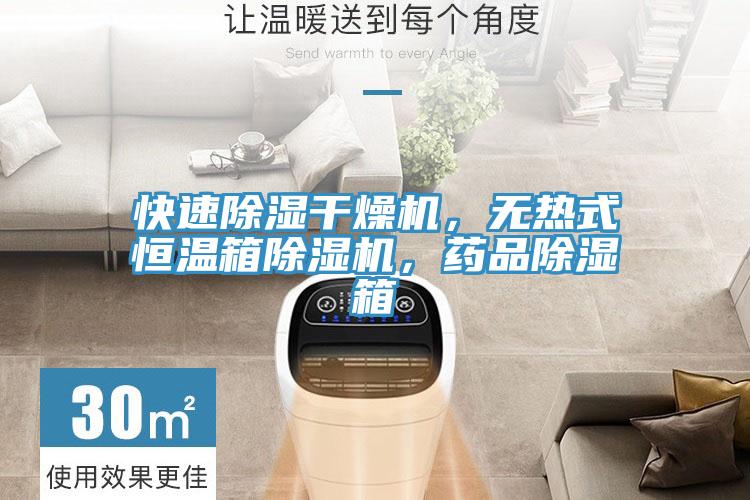 快速除濕干燥機,無熱式恒溫箱除濕機,藥品除濕箱