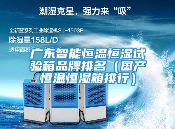 廣東智能恒溫恒濕試驗箱品牌排名(國產(chǎn)恒溫恒濕箱排行)