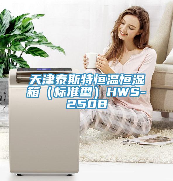 天津泰斯特恒溫恒濕箱(標(biāo)準(zhǔn)型)HWS-250B