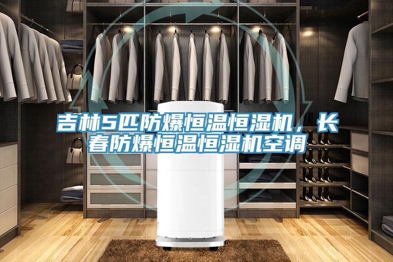 吉林5匹防爆恒溫恒濕機，長春防爆恒溫恒濕機空調