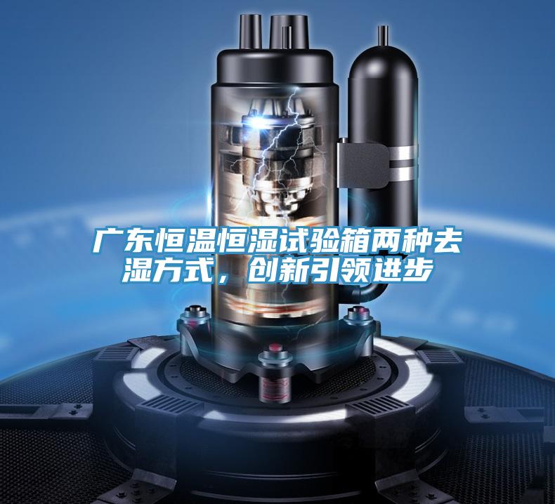 廣東恒溫恒濕試驗箱兩種去濕方式,創(chuàng)新引領進步