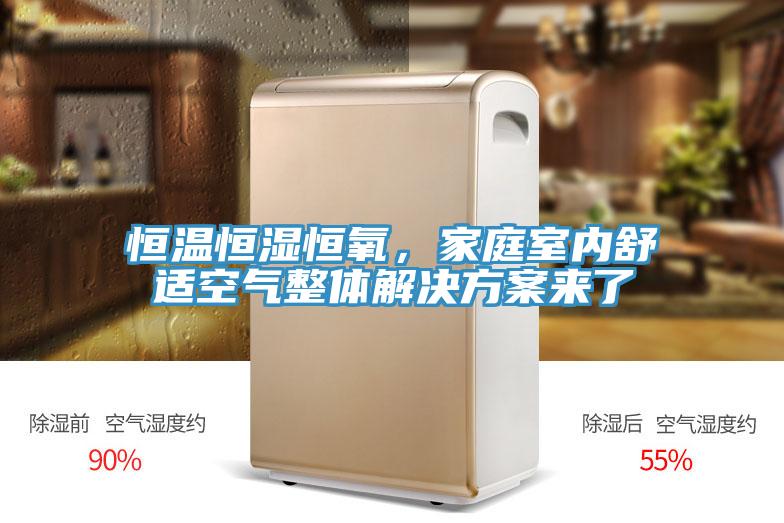 恒溫恒濕恒氧,家庭室內舒適空氣整體解決方案來了