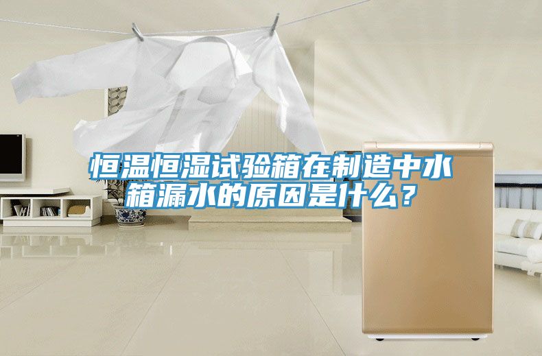 恒溫恒濕試驗箱在制造中水箱漏水的原因是什么？