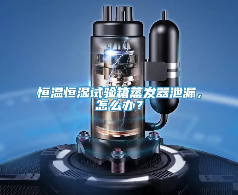 恒溫恒濕試驗箱蒸發器泄漏，怎么辦？